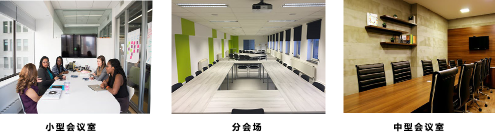 澳门今晚开生肖